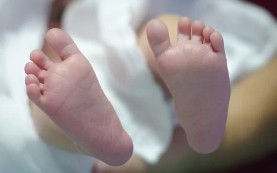 В марте текущего года в Гусевском округе родилось 23 малыша